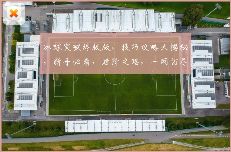 冰球突破终极版，技巧攻略大揭秘，新手必看，进阶之路，一网打尽